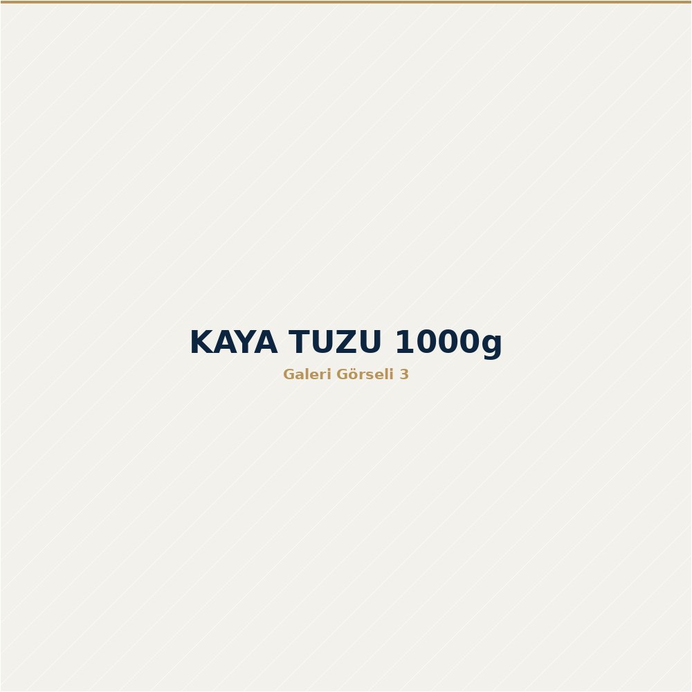 Vital Active Kaya Tuzu 1000g ürün görseli 3